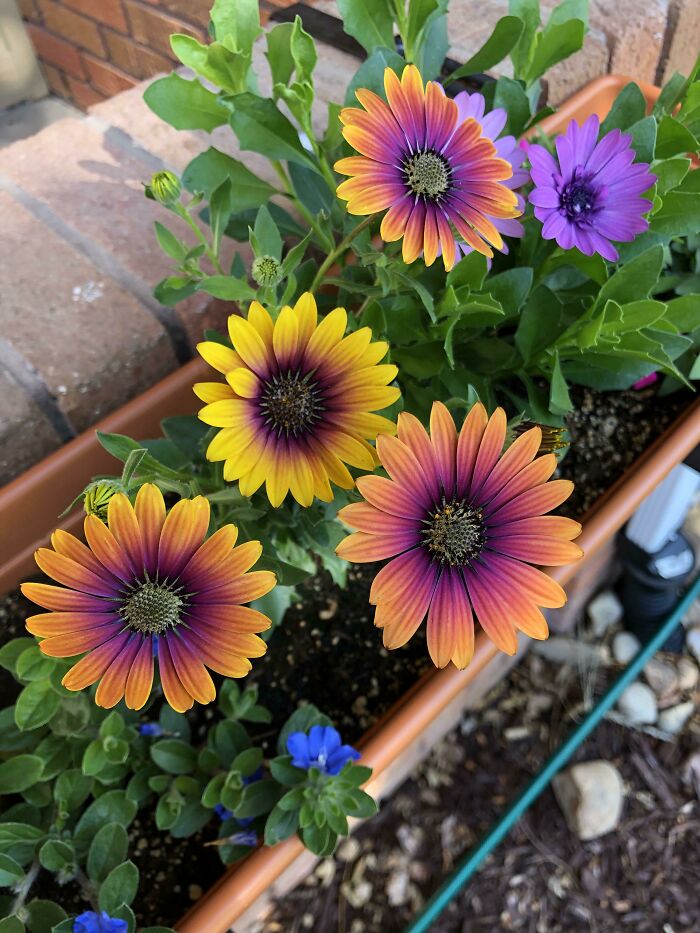 外国网友分享的风景,国外网友分享的风景