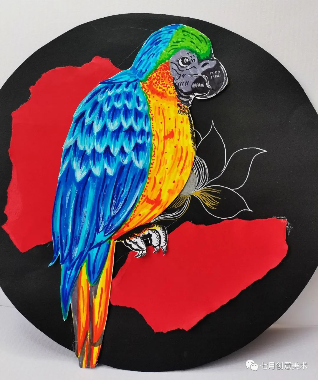 鹦鹉简笔画绘画小技巧,绘画鹦鹉