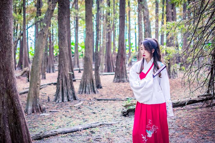 星湖冬日燃情，比落羽杉还要红的是什么？#我和湿地有个约会#