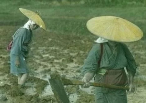 清朝末年闭关锁国的具体表现,清朝时期闭关锁国的利弊