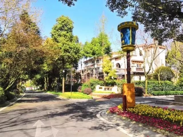 青城山环境幽静旅游的好地方,想住世外桃源