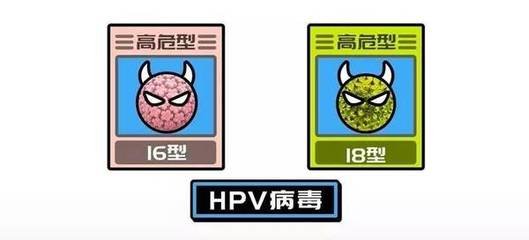 一分钟带你了解hpv,一分钟了解埃博拉病毒