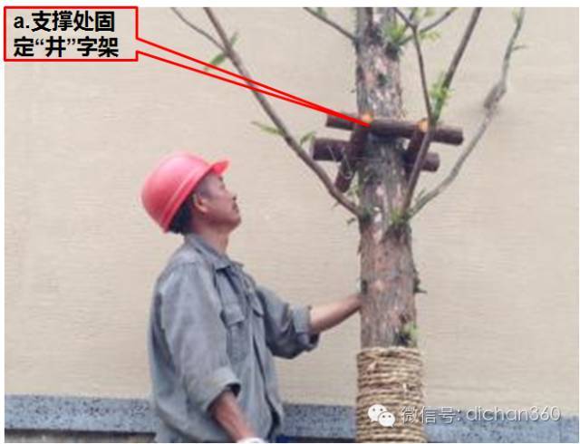 园林景观交付前十三道评估项,园林交付评估细节有哪些