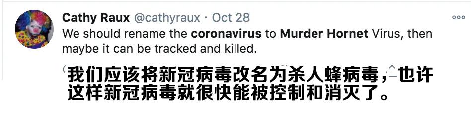 杀人蜂为什么那么可怕,杀人蜂到底有多厉害