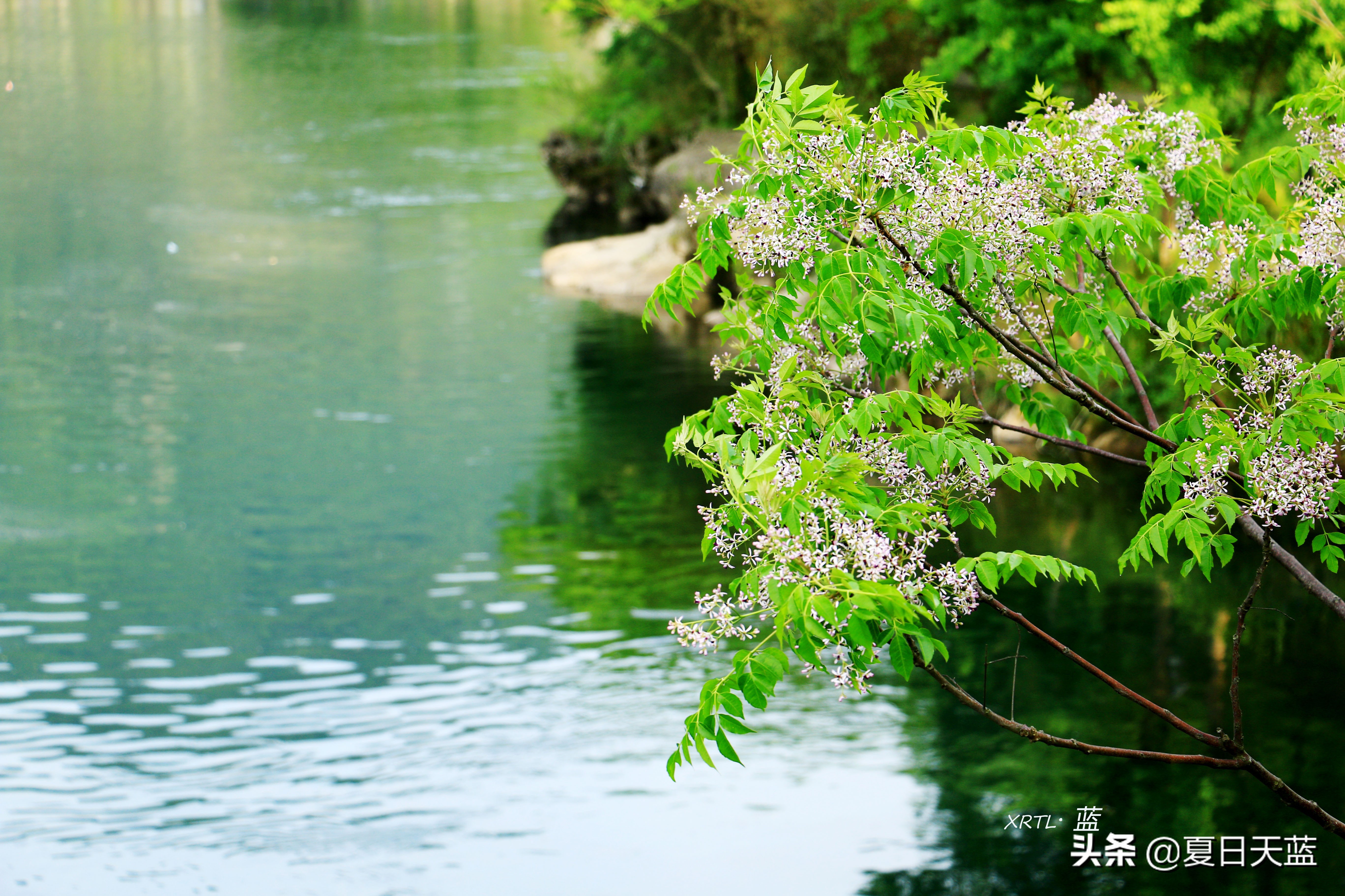 李白在桃花潭写的千古名句,桃花潭因李白而出名的诗句