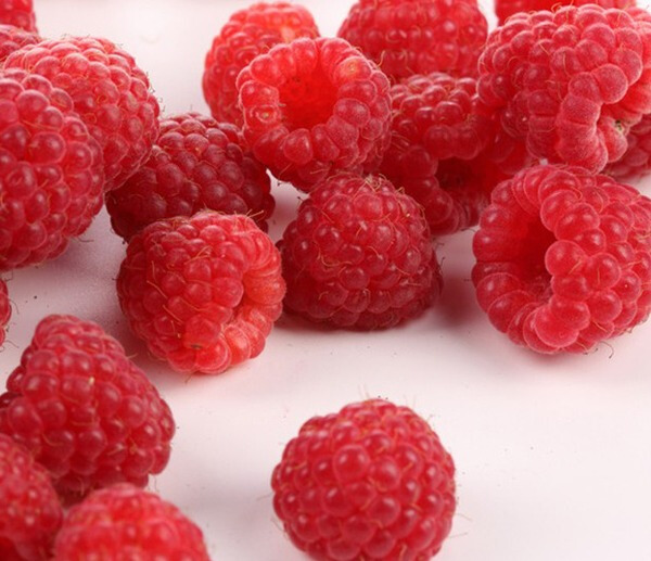 吃什么瘦得最快最有效果,吃什么能够瘦得快一点