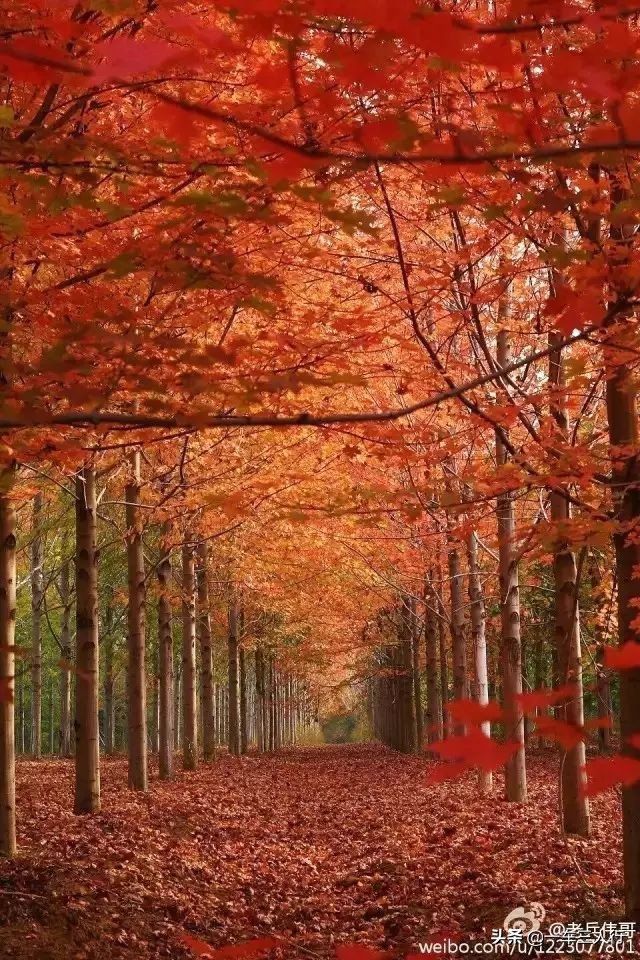 大连有一个蓝色的小城堡景点,大连秋季旅游景点攻略大全