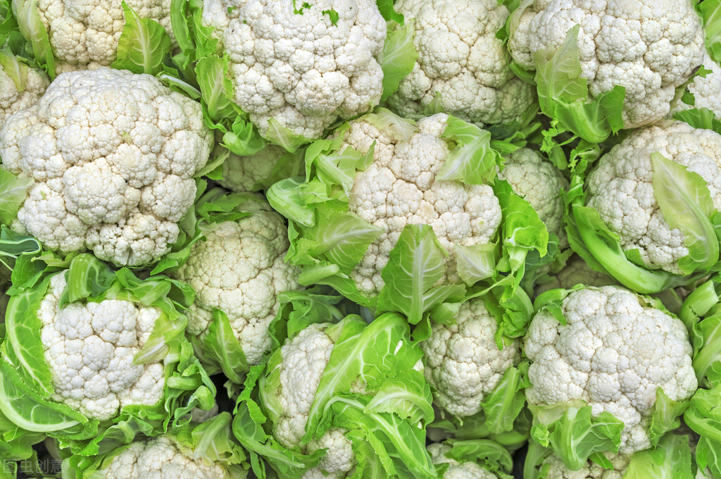 有机花菜种植时间几月份最为合适,花菜种植时间和方法和温度