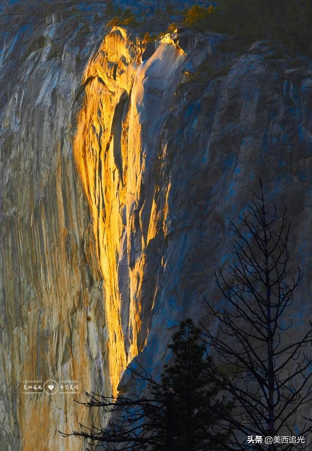 美国优山美地国家公园红杉树,美国优山美地国家公园攻略