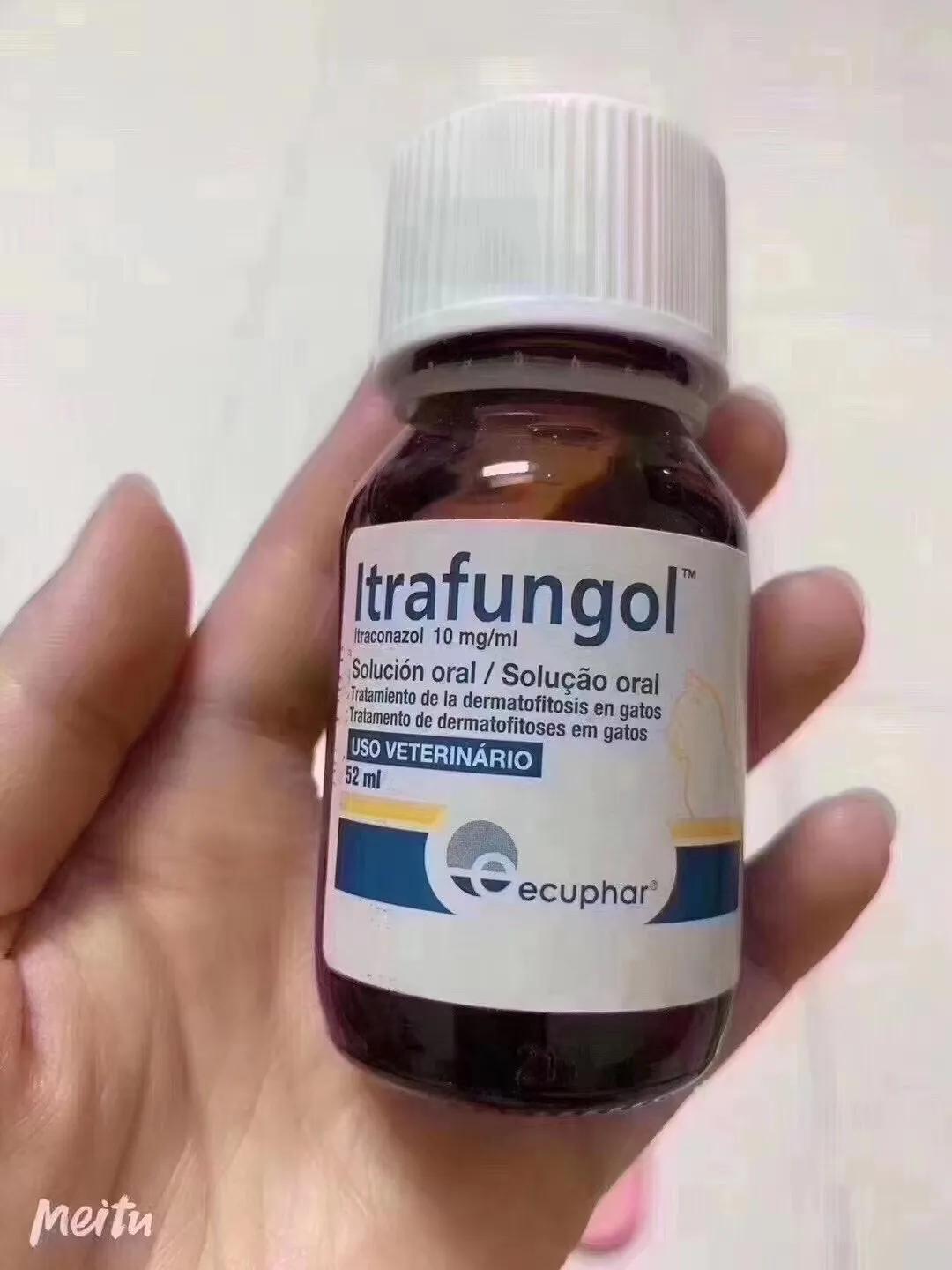 猫癣怎么预防和治疗,10年的老猫怎么照顾