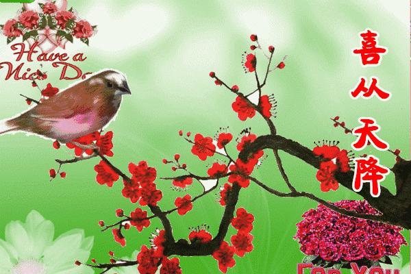 中学语文常见病句类型,初中语文常见病句类型大全