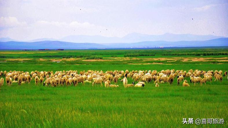 内蒙古锡林郭勒盟十大景点有哪些?自驾游玩如何安排行程路线?