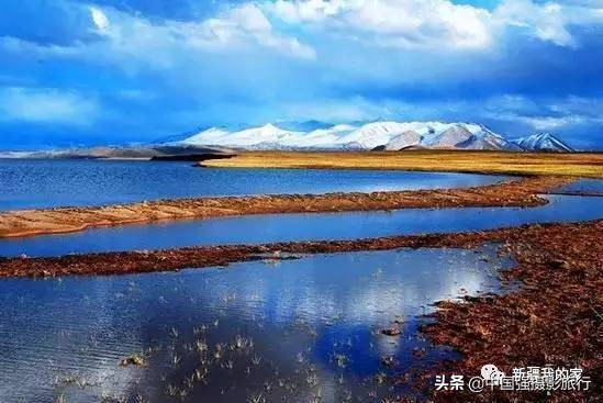 又一封辞职信火了，*疆新**人已传疯