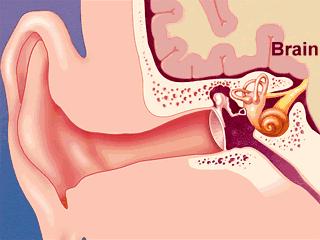 耳朵经常嗡嗡响用什么药,耳朵经常嗡嗡响要吃什么药