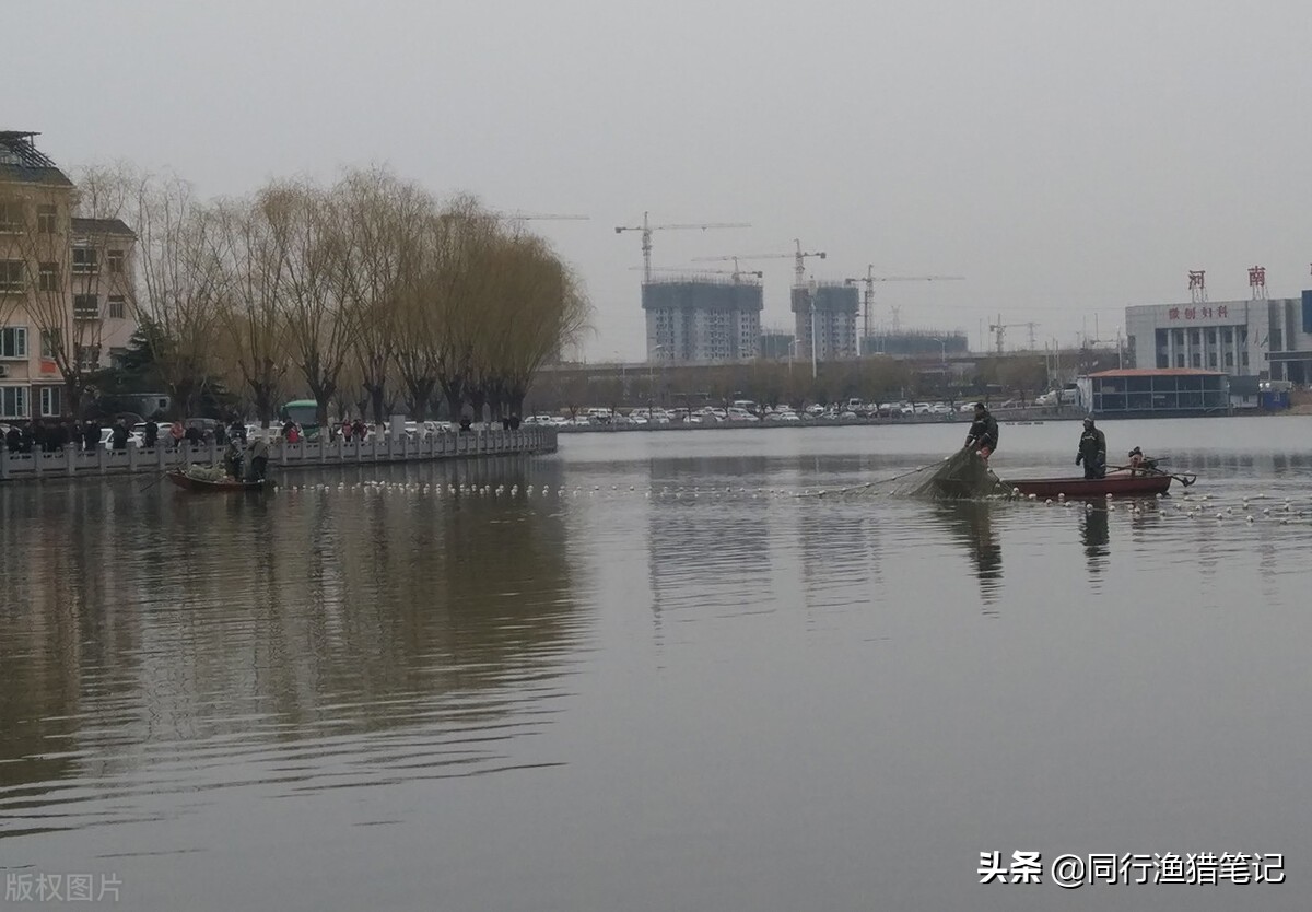 鱼缺氧如何增氧,鱼缺氧了是怎么自救