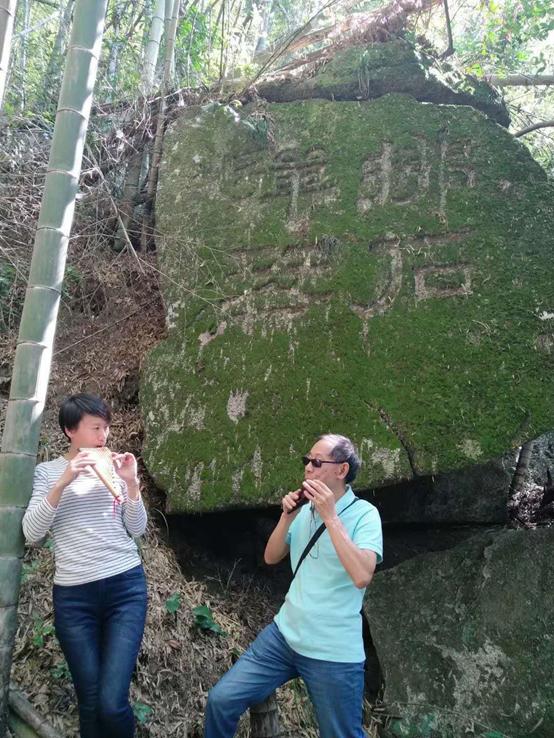 江湖路的风景视频,江湖路上走走停停
