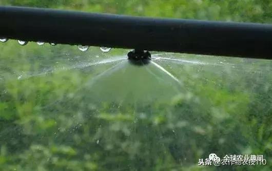 以色列用什么水和什么水灌溉农田,以色列进口水肥一体化灌溉设备