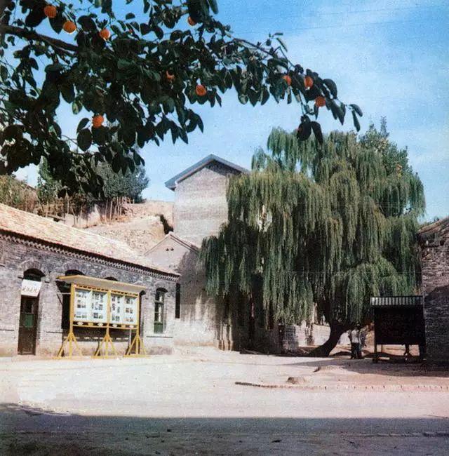 农业学大寨大寨村现况,农业学大寨指的是哪个大寨村