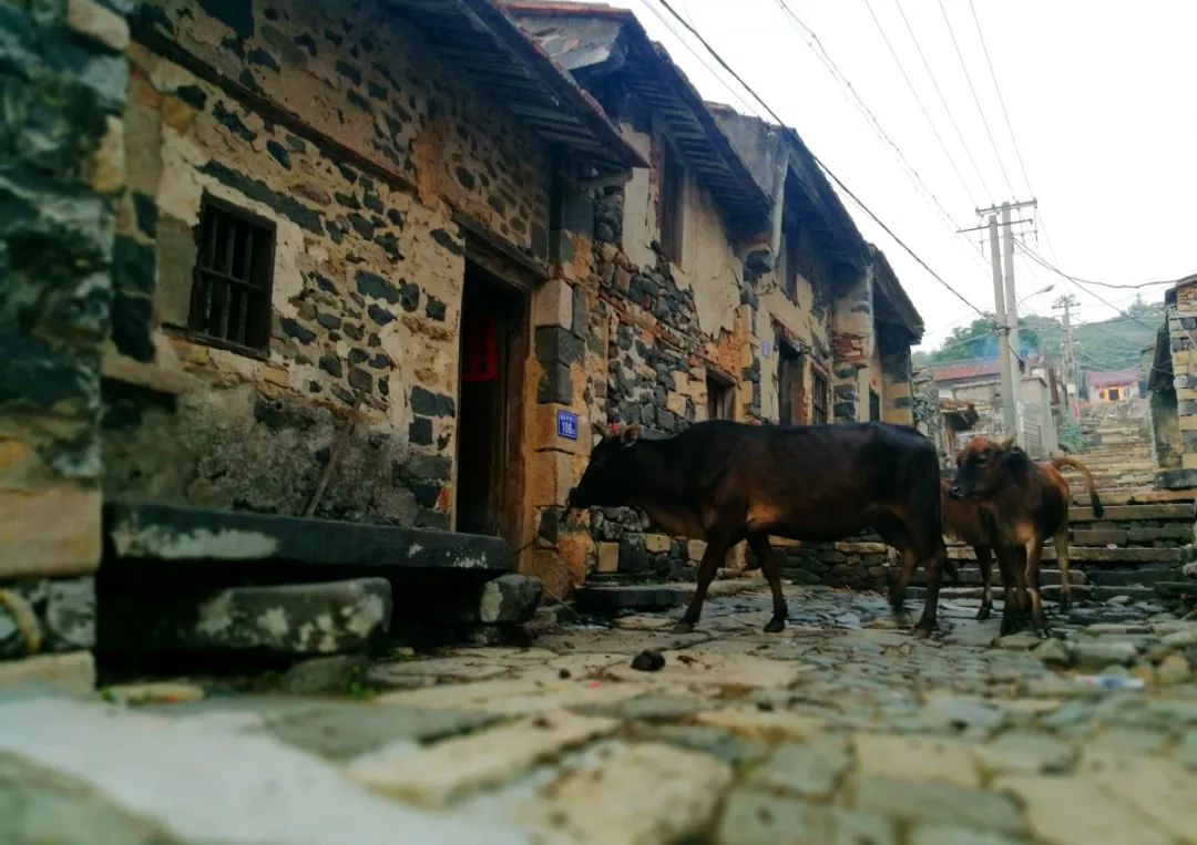 旅行种草,垦丁必打卡景点