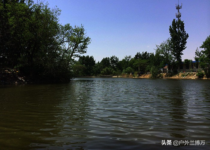 不会钓鱼怎么逮鱼,如何找到鱼窝和钓位