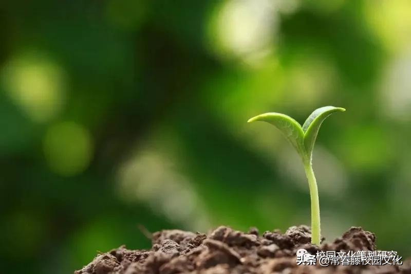 四川校园文化建设丨通四方锦程达天下大道—通锦中学理念设计