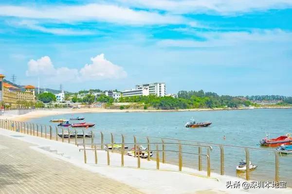 深圳免费的景点有哪些地方,深圳有哪些免费又好玩的地方景点