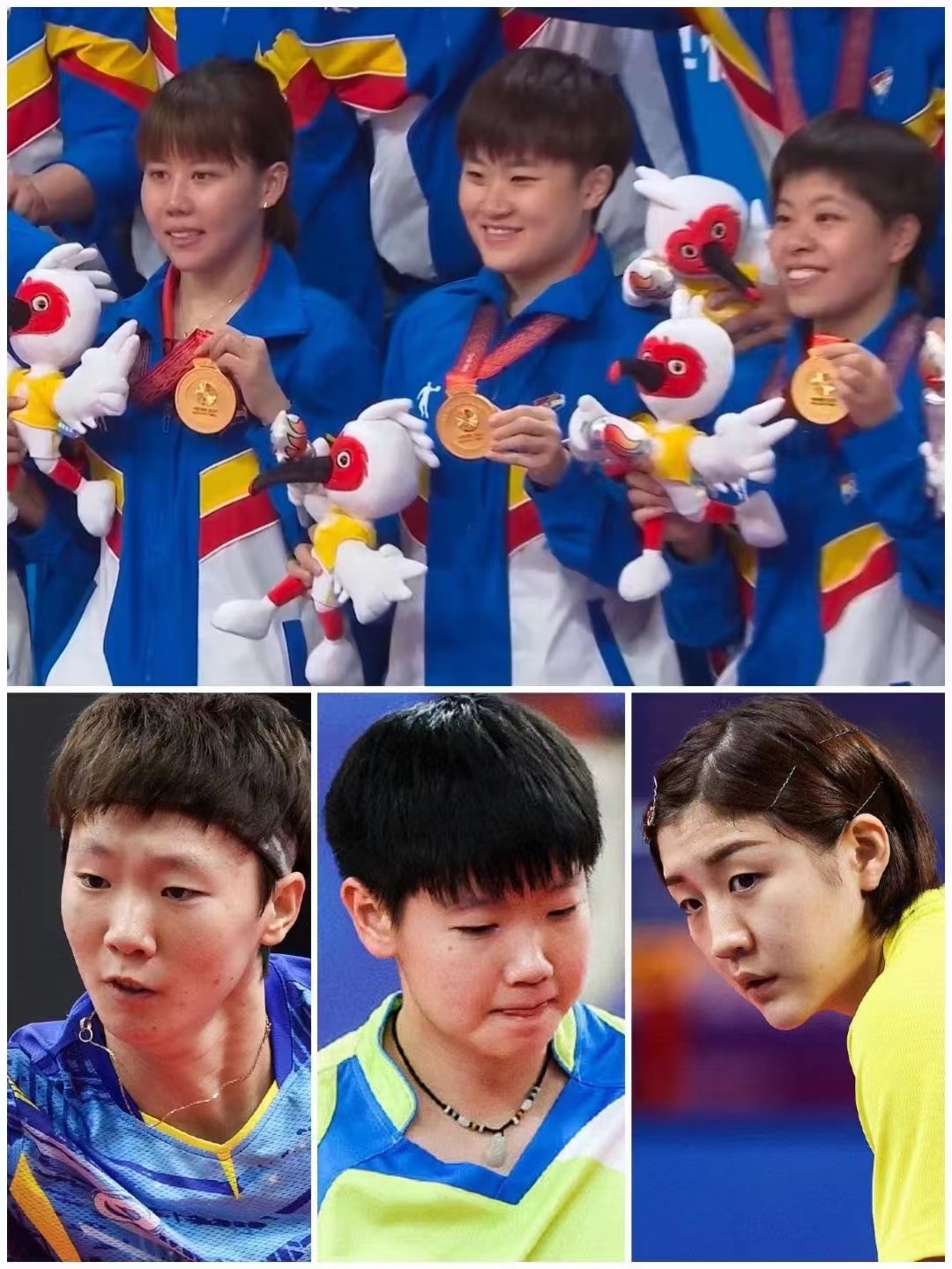 辽宁女乒夺全锦赛冠军,全运会辽宁女乒常晨晨