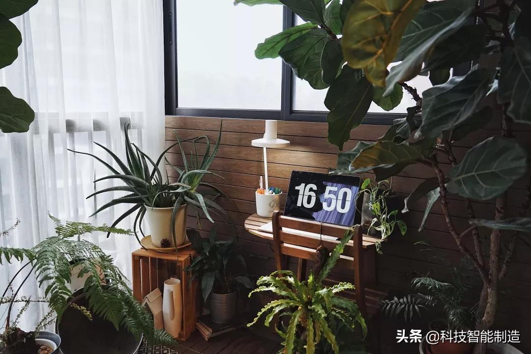 巴慕达台灯视频,日本乔布斯