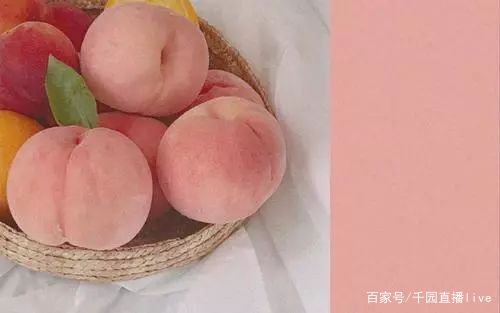 李佳琦直播文案,李佳琦言论文案