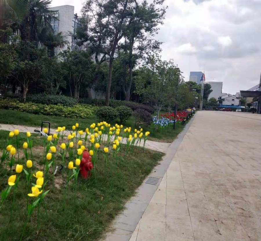 后天，文昌商圈再添“新兵”；但你可能想不到，最有人气的是——