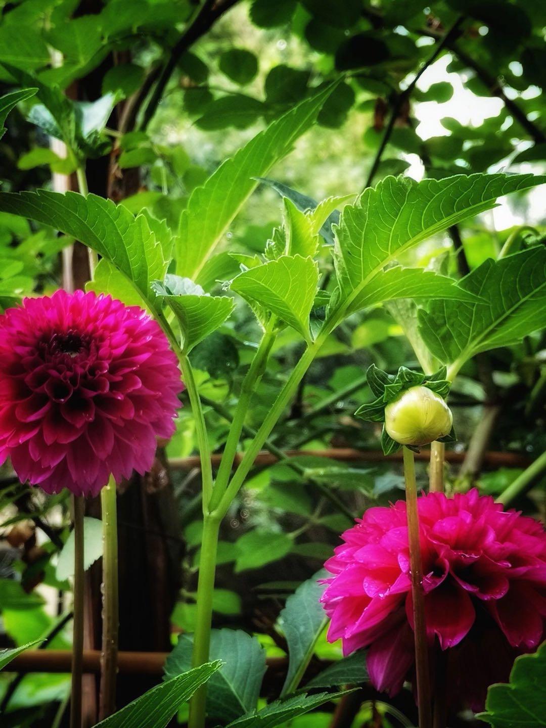 一句话让别人觉得你过得很好,让别人觉得你的好才是春风