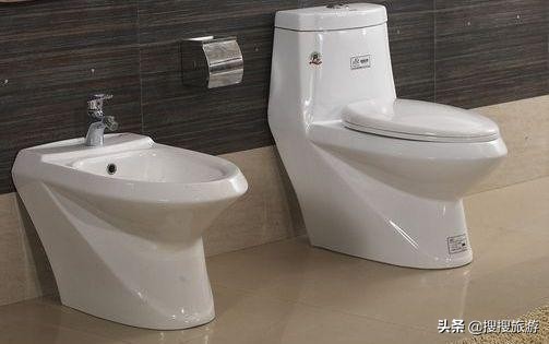 欧洲宾馆卫生间为什么有两个马桶,欧洲卫生间像马桶一样的是什么