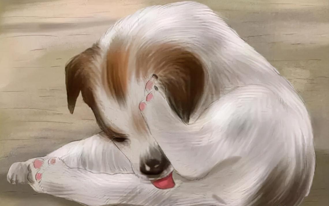 如何帮狗狗度过生理期公狗,50天左右的狗狗该怎么养怎么训练