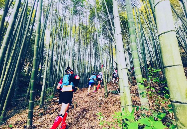 2020年江南100英里越野赛,江南100越野赛选手名单