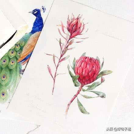 最适合qq签名的句子,适合做qq个性签名的句子8个字