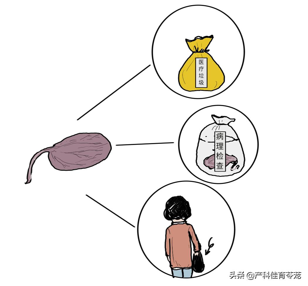 胎盘的营养和功效，没那么神