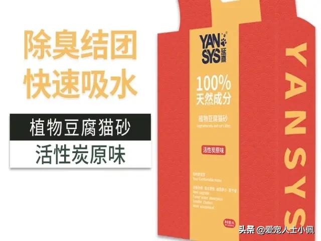 猫咪能感受其他猫咪生病了吗,猫咪总流眼泪是什么原因呢