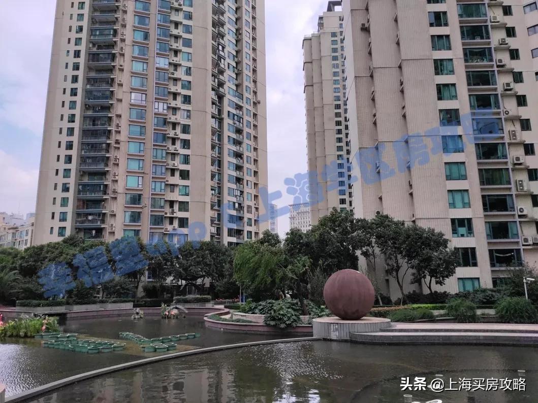 徐汇四大公办小学对比,上海汇师小学和分校