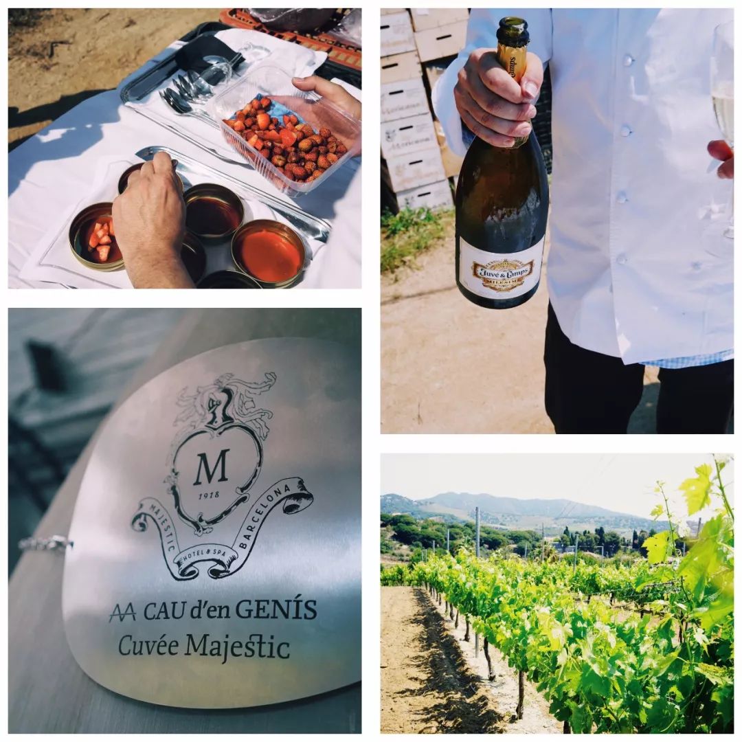 去巴塞罗那要知道什么,巴塞罗那之旅释放了天性