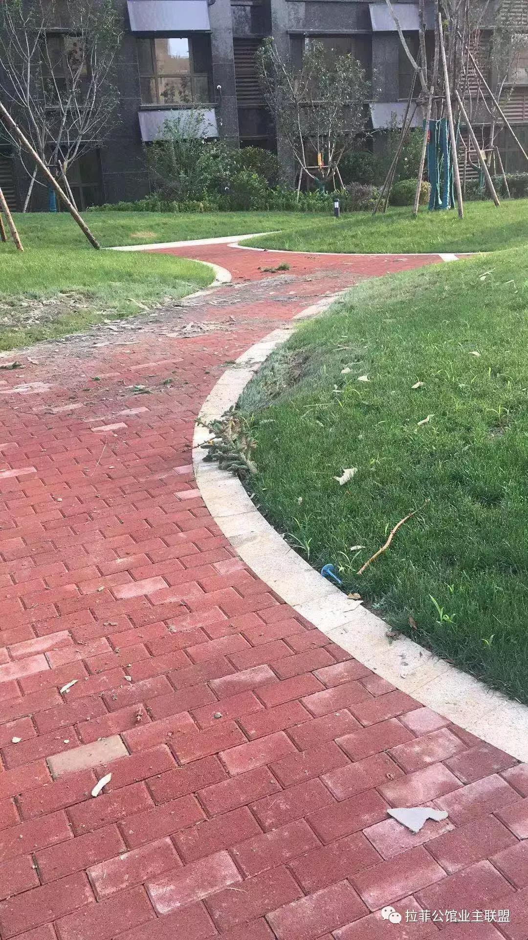 拉菲公馆事件真相,拉菲公馆事件视频