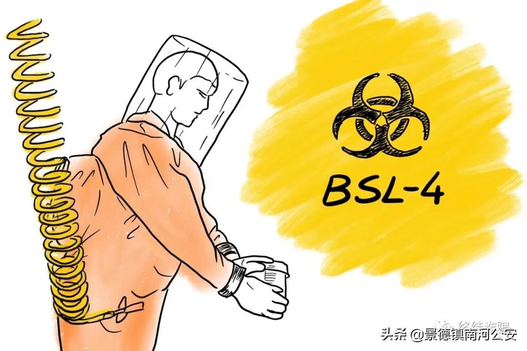 科普病毒真实情况,科学家研究病毒科普小知识