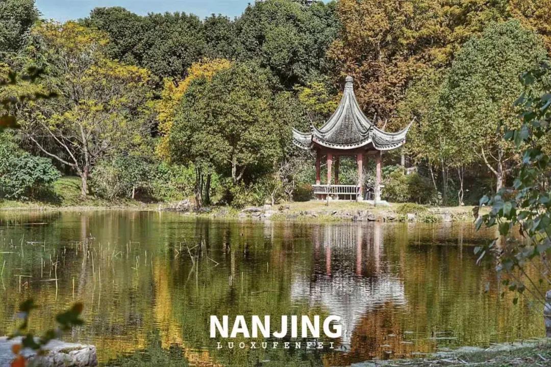 玩完南京去哪里玩景点推荐,南京钟山风景区秋天一日游攻略