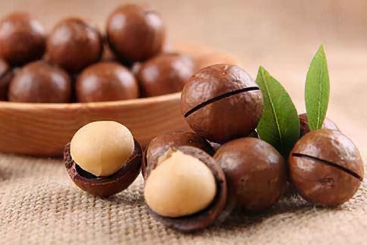 夏威夷果名不副实的坚果,云南夏威夷果世界第一名坚果