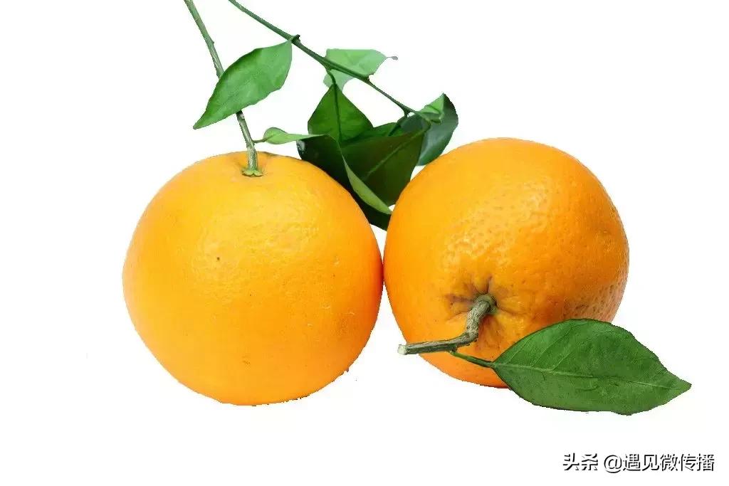 四川爱媛38号果冻橙1250g试吃装,爱媛果冻橙38号和28号有什么区别