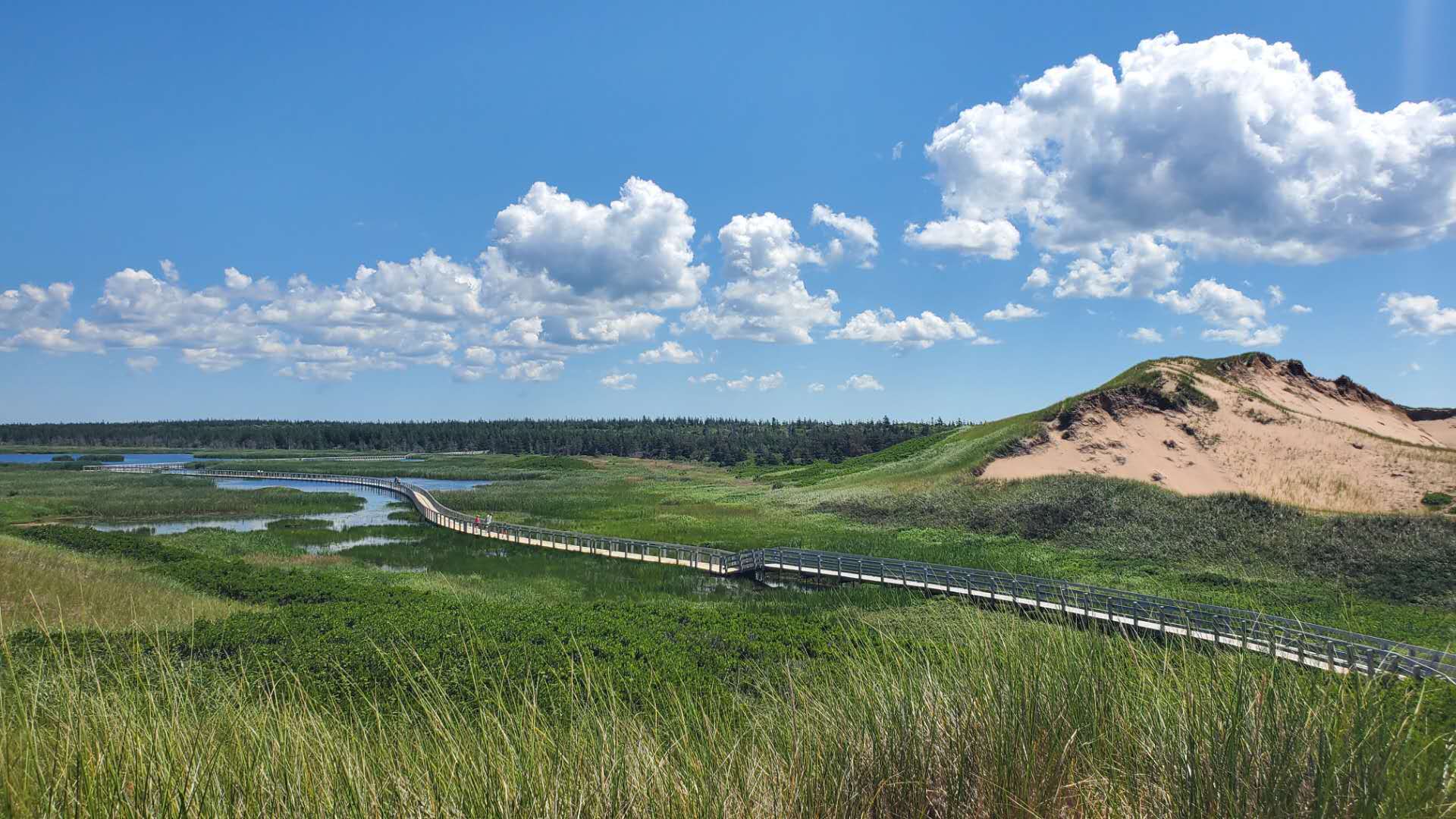 加拿大地图爱德华王子岛,加拿大的爱德华王子岛