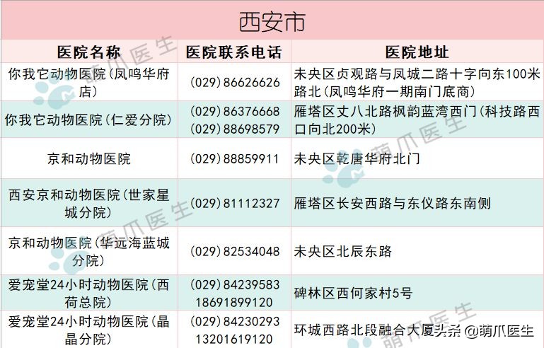 求良心靠谱的宠物医院,真正平民的宠物医院