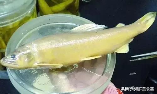 100种不同名字的海鲜,10种常见海鲜大全