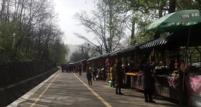 天水麦积山石窟是四大石窟吗,中国四大石窟麦积山风景区