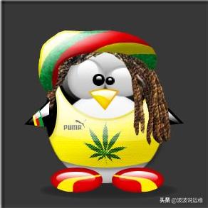 面试官：如何有效处理nohup日志输出过大问题？