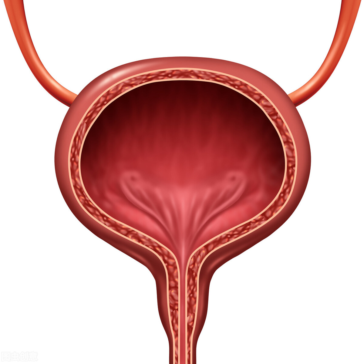 尿频总跑厕所是肾不好？辟谣：导致尿频的10种病因，一一说清
